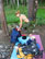 ������� ������� ������ ������ ���������